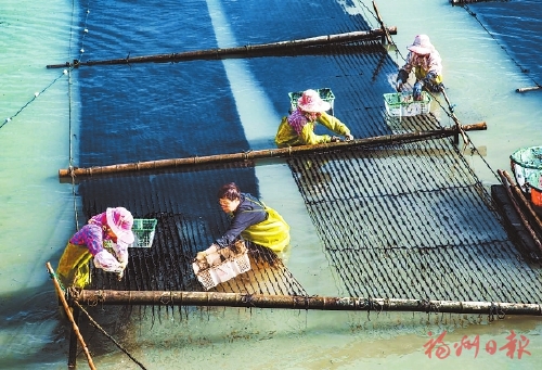 乡村,成为更多人的“诗与远方” 乡村,成为更多人的“诗与远方”