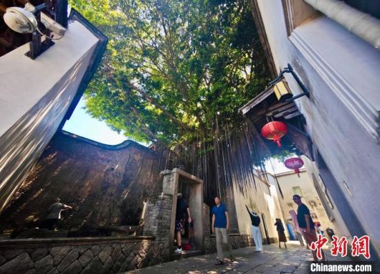 7月8日，福建福州，游客在三坊七巷参天古榕树下拍照纳凉。中新社记者 王东明 摄