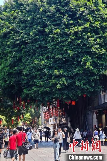 7月8日，福建福州，游客冒高温游逛三坊七巷古街区。中新社记者 王东明 摄