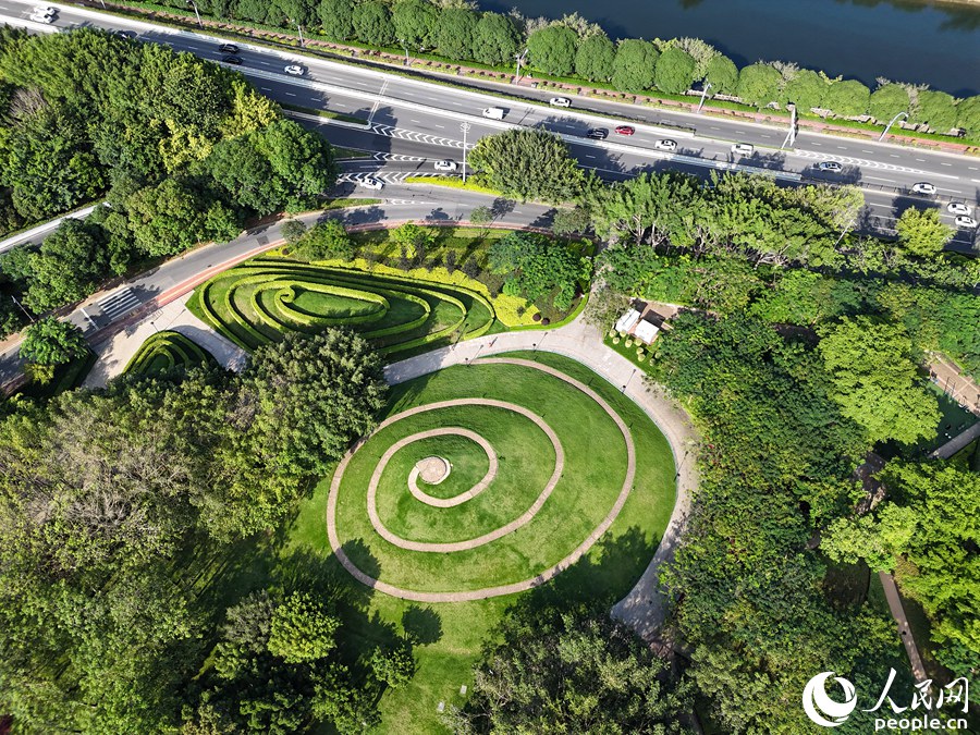 生态花园之城厦门拥有怡人的绿。人民网记者 陈博摄