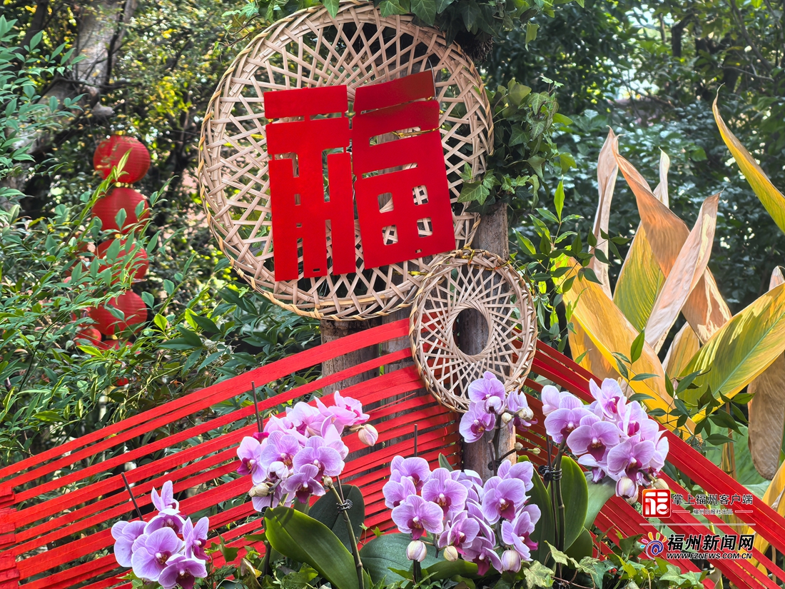 福州于山兰花展正月初一开展 将持续至元宵节 福州于山兰花展正月初一开展 将持续至元宵节