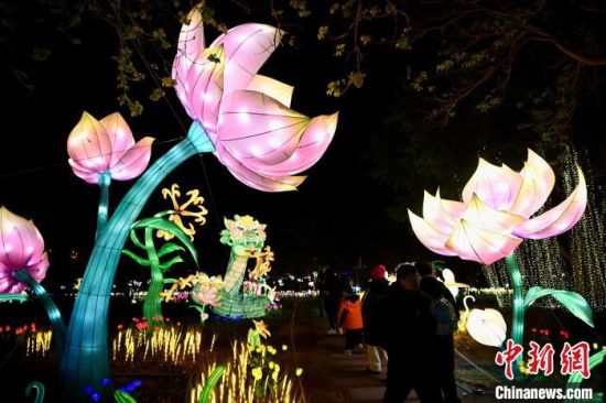 图为民众观赏灯会。中新社记者 王东明 摄