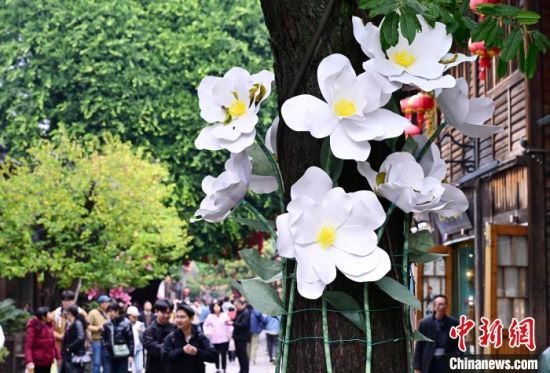 3月17日，福州三坊七巷南后街，街头许多原来光秃秃的树木底部被扮靓成“一束花”，为街区的春天增添了一抹亮色。中新社记者 张斌 摄