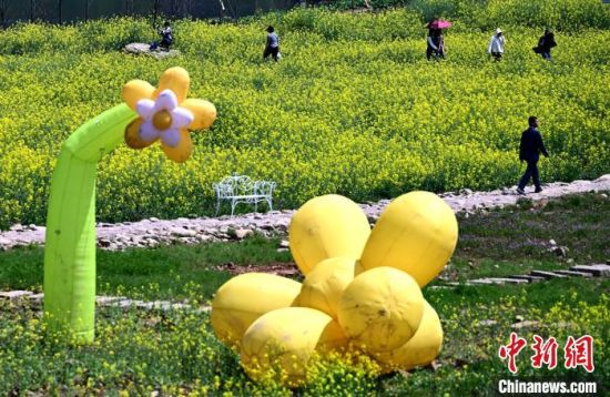 3月18日，福建省连江县潘渡镇溪山温泉度假村打造的有机农场中，百亩油菜花盛开，吸引民众前来观赏游玩。中新社记者 张斌 摄